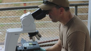 Vet Tec - Guatemala - CP22