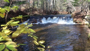 Fall 2022 Scenes at Trout Falls at Fort McCoy's Pine View Recreation Area, Part II