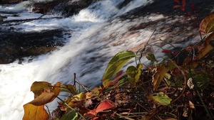 Fall 2022 Scenes at Trout Falls at Fort McCoy's Pine View Recreation Area, Part III