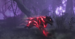 1st Infantry Division commander recognizes DA Civilians