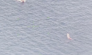 Coast Guard repatriates 95 people to Cuba