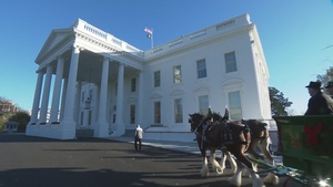 First Lady Jill Biden Welcomes the Official 2022 White House Christmas Tree