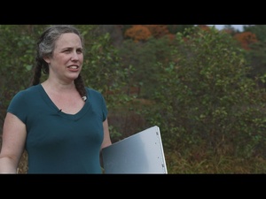 A-Roll: Dr. Gabrielle David, CRREL Research Scientist - Ordinary High Watermarks Data Sheet