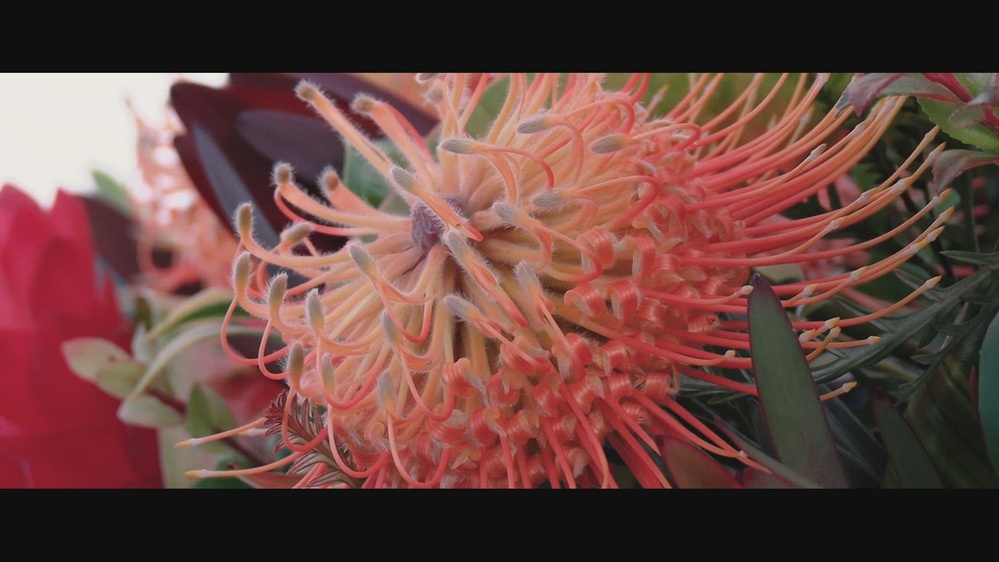 DVIDS - Video - Military Honors rendered to late Marine Corps ...