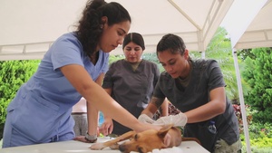 VETERINARY SERVICES IN SUPPORT OF CONTINUING PROMISE 2022, COLOMBIA