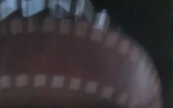 Military Working Dogs demonstrate their skills to Task Force Spartan Soldiers