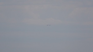 220711 New Aircraft 836