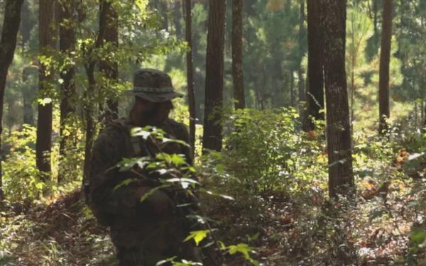 Combat Engineers conduct reconnaissance patrol on Fort Stewart