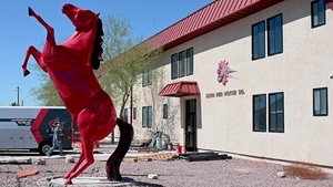 Service dog helps Colonel fight the battles back home