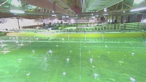 The LAW Project – Constructing a Prototypical Littoral Zone (WO Branding)