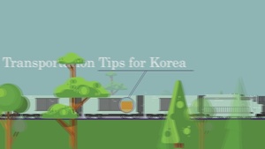 Transportation Tips - T-Money Refill