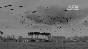 International Four Day Marches Nijmegen