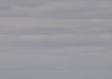 USS Portland (LPD 27) Artemis I Small Boat Recovery