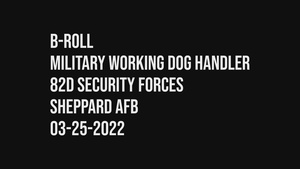 Military Working Dog B Roll