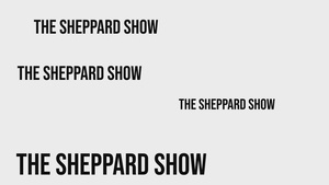 The Sheppard Show: Gamification in Tech Training