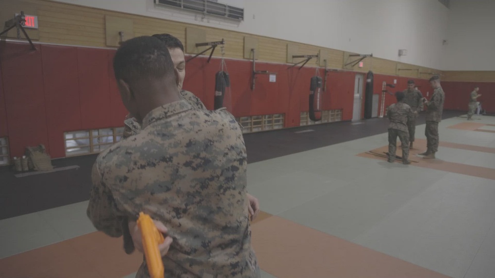 DVIDS Video Brown Belt Test