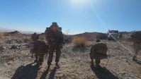 Infantry Officer Course PALMFEX