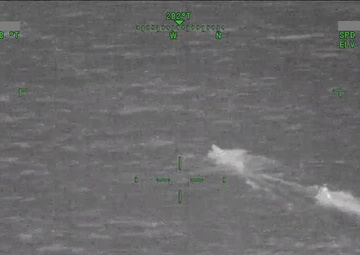 Coast Guard interdicts 5 lancha crews, seizes 590 pounds of illegal fish off Texas coast