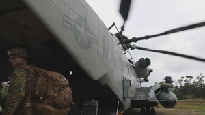 3d Marine Division Year in Review