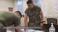 Urinalysis Program Coordinator Testing Procedural Guidelines