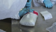 CBP Reports - Fentanyl Interdiction