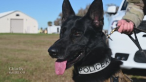 SrA Stark MWD Journey