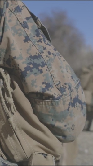 Reel: U.S. Marines train in the air, on land and on sea