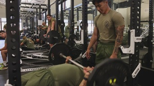 B-Roll: 3rd Battalion, 1st Marines host squad competition