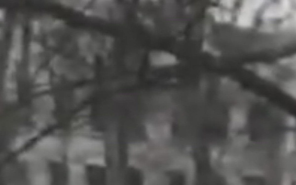 Mill Creek Project History - NWW 75 Anniversary