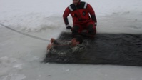Airmen train in cold-water immersion at Fort McCoy as part of Air-Force-led Cold-Weather Operations Course, Part IV