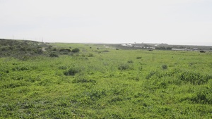 2nd Battalion, 1st Marines conduct Raid Leaders Course