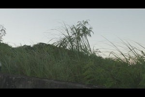 B-Roll of Nimitz Hill