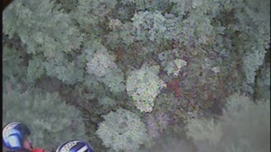 Coast Guard rescues hiker, continues search for second hiker
