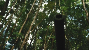 B-Roll of Piti Coastal Defense Guns - 180 FPS