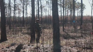 'Comanche’ Marines execute an amphibious raid B-Roll
