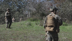 B-Roll: Marines participate in annual squad competition