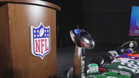 Fake NFL, Super Bowl merchandise in record seizure - Newsday