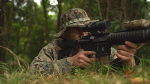 JWX 23 Ground Sensor Platoon
