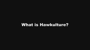 What is Hawk Culture?