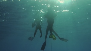 Okinawa Water Safety | 8 Mins