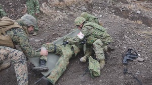 Bi-lateral Mass Casualty  Exercise Iron Fist 23