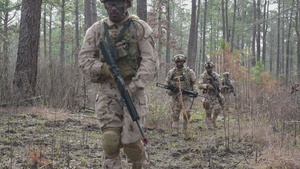 UAE and U.S. troops live fire recon at JRTC