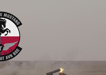 Kuwait Liberation Day Live Fire Exercise, Al Tahreer 2023