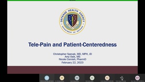 RRC HRO Patient Centeredness Webinar - Tele-Pain and Patient-Centeredness