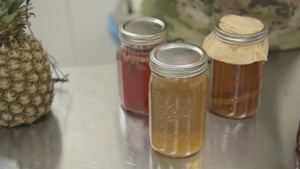 Gut Health Introduction