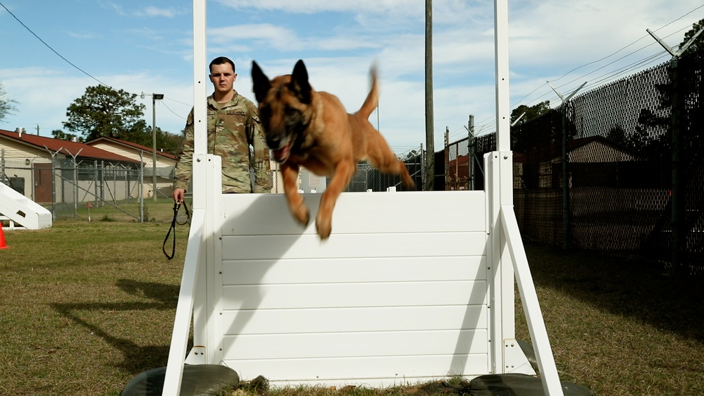 DVIDS Video Military Working Dog Handler Competition Day One