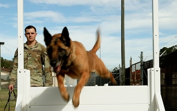 Military Working Dog Handler Competition Day One