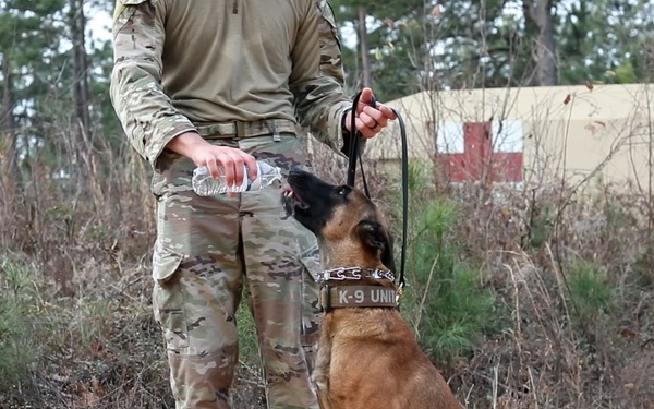 Military Working Dog Handler Competition Day 2
