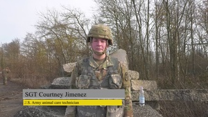U.S. Army Public Health Activity- Rheinland Pfalz, Best Warrior Competition, Feb 15, 2023, Chièvres Air Base, Belgium