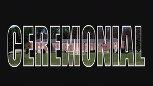 In Pursuit of Perfection: Ceremonial Platoon Honors the Legacy of Quantico